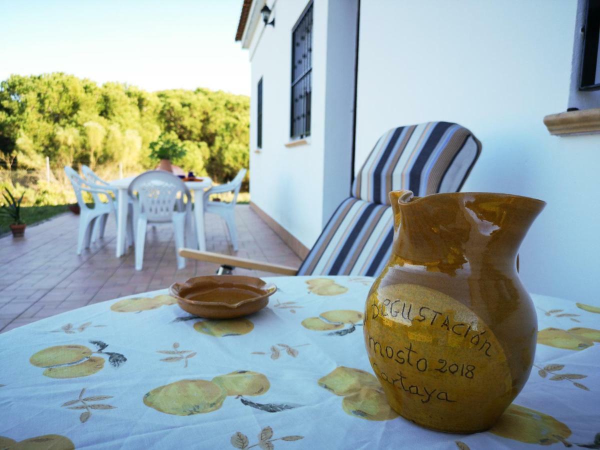 Casa Rural Cerca De La Playa El Rompido Dış mekan fotoğraf